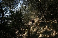 ＊　突然　六甲全山縦走コースにチャレンジ　＊　須磨アルプス