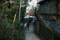 ＊　突然　六甲全山縦走コースにチャレンジ　＊　須磨アルプス