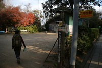 ＊　突然　六甲全山縦走コースにチャレンジ　＊　須磨アルプス