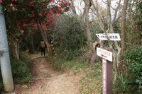 ＊　突然　六甲全山縦走コースにチャレンジ　＊　須磨アルプス