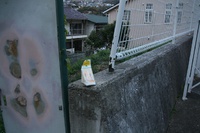 ＊　突然　六甲全山縦走コースにチャレンジ　＊　須磨アルプス