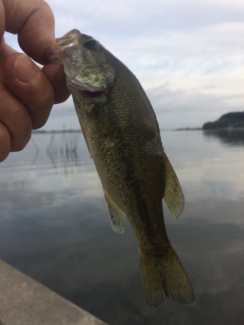 夕日の郷 松川へ行ってきました♪