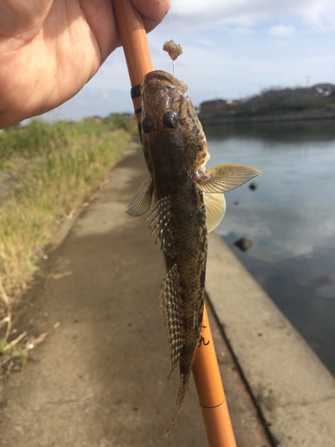 夕日の郷 松川へ行ってきました♪