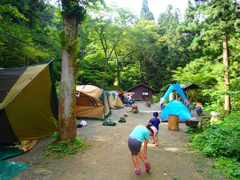 今日も森に居ます♪  日影沢キャンプ場