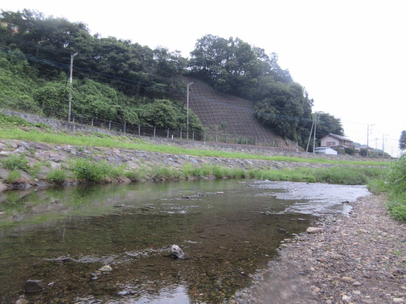 柳瀬川清瀬橋の小物釣り