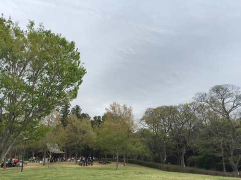 悩ましい天気