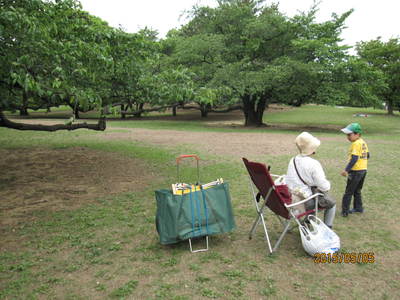 光が丘公園、