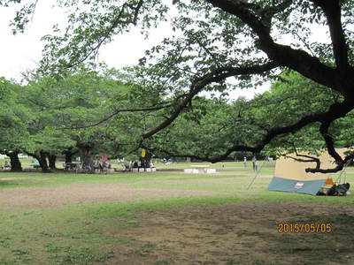 光が丘公園、