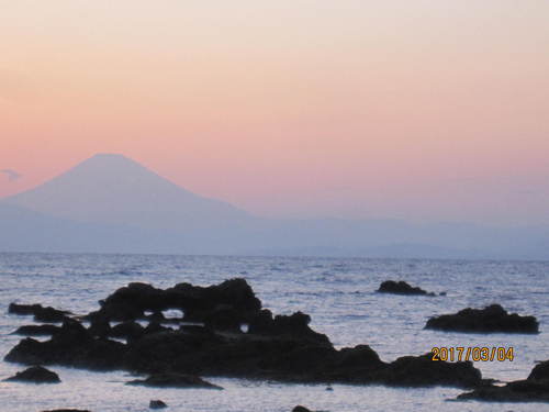 本年初出撃、三浦で野営グル。