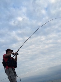 ショアからの太刀魚ジギング