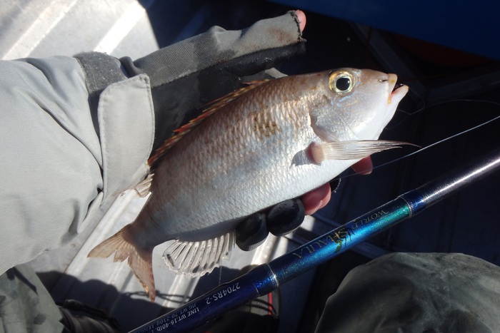 中紀！ミニボートの釣り！！