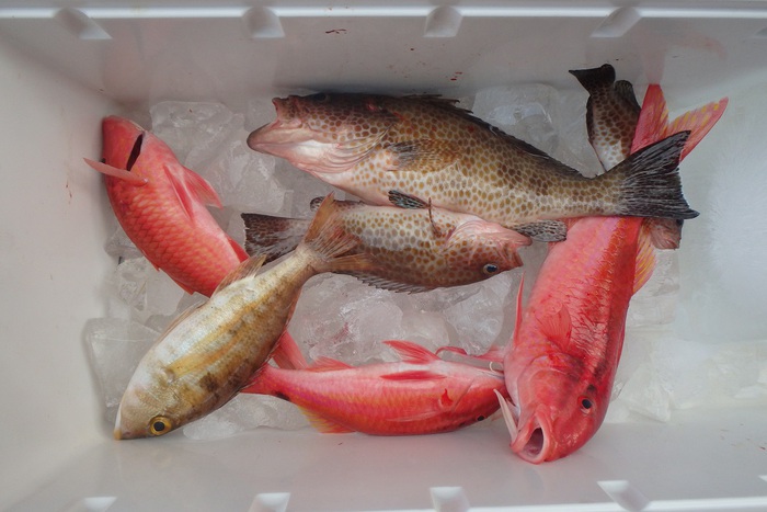 中紀！ミニボートの釣り！！