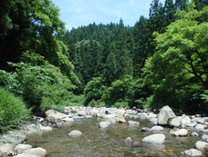 夏渓