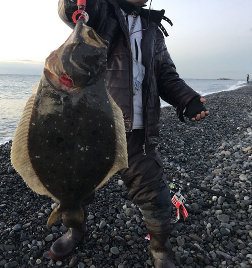 皮付きウィンナーの 釣り研究所 ブログ 座布団ヒラメが釣れた 石津浜じゃないよ