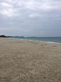 種子島出張