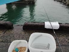 豪雨 2018/07/09 04:34:05