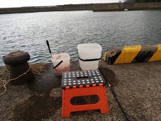 梅雨の中休み？ 2019/06/10 05:17:19