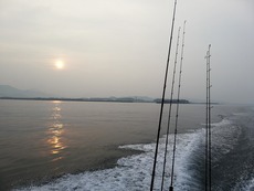 アラカブ釣りでした・・・ 2019/06/24 04:55:59