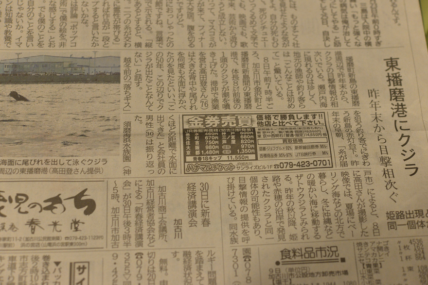 メバル・2015初釣り