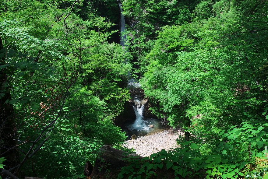 GW一向平キャンプ　大山滝へ