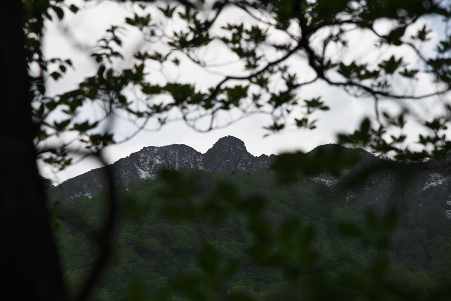 GW一向平キャンプ　大山滝へ