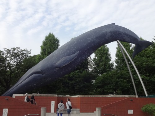 大アマゾン展 東京上野 国立科学博物館