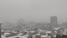 新宿は大粒の雪でチャリンコやバイクが走れなくなった