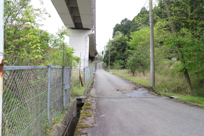 時々小雨が降る中を大路ダム～大路浄水場 8/20