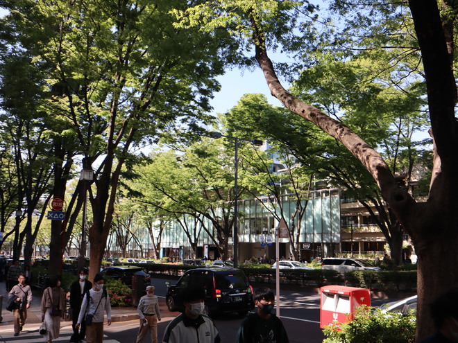 8年ぶりの渋谷、38年ぶりの(東急)ハンズ渋谷店