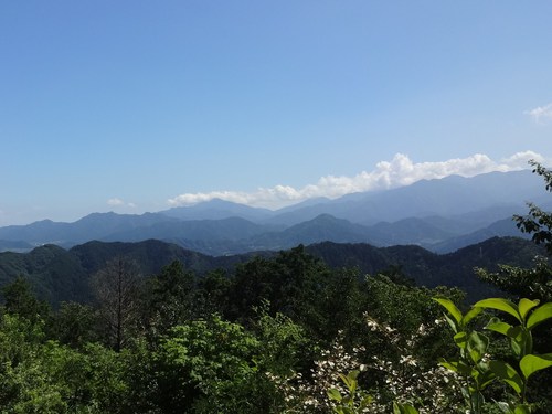 リハビリ・トレーニング・ダイエットに高尾山 ⑥