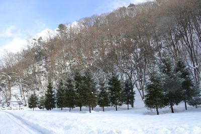 大鬼谷オートキャンプ場☆2014.12.20～21