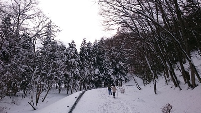 悲願の雪中キャンプ！