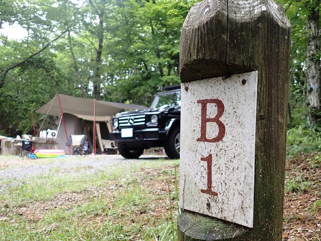 イイ感じにできた過保護張りキャンプ