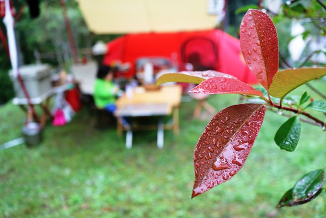 父子キャンで「食欲と芸術の秋」
