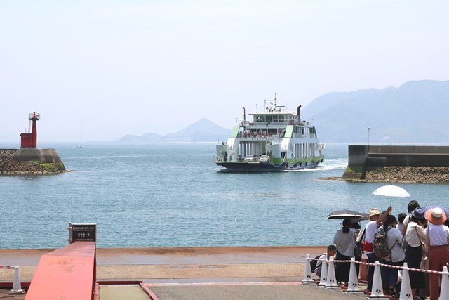 うさぎの島で父子キャンプ