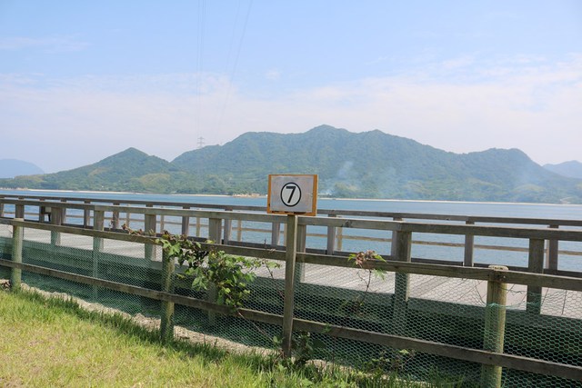 うさぎの島で父子キャンプ