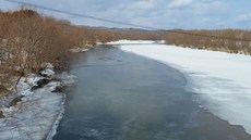 居心地悪いので・・・ 2018/02/17 13:10:16