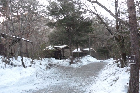 PICA富士西湖③