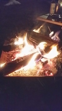 風が無くて助かってます