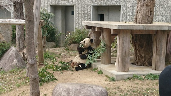 王子動物園に行ってきた。
