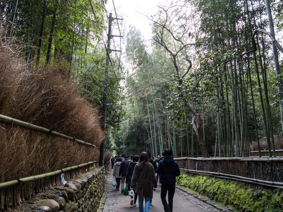 嵐山に行ってきた。