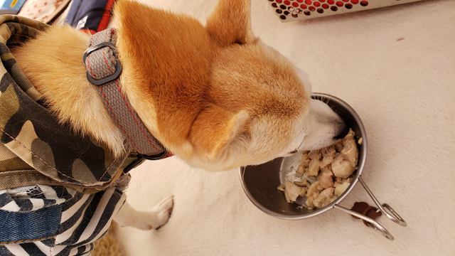 2019/10/12-14　２年振りの絶景キャンプ 　in　いわないリゾートパークマリンビュー　34-35