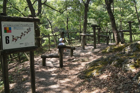 グリーンパーク山東で蛍キャンプ－番外編－。