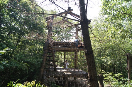 グリーンパーク山東で蛍キャンプ－番外編－。