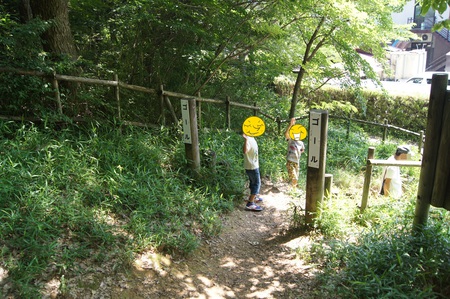 グリーンパーク山東で蛍キャンプ－番外編－。