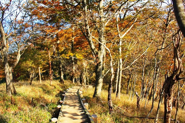 丹沢山の紅葉