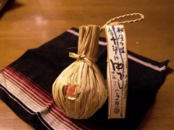 紀州湯あたり紀行　～ その②　それいけ！ 野湯探索だぁ ♪ ～