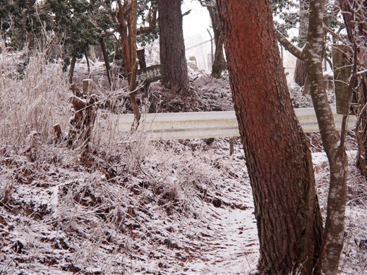 大野アルプスランド その後　～ 雪の大野山ハイキング ～