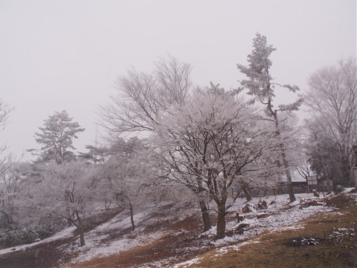 大野アルプスランド その後　～ 雪の大野山ハイキング ～