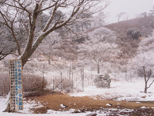 大野アルプスランド その後　～ 雪の大野山ハイキング ～